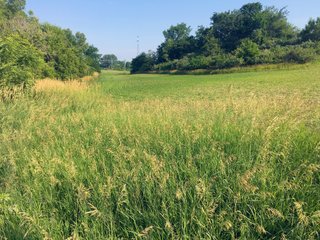 Noble County, Indiana farmland - LAND AUCTION - 54+/- ACRES OFFERED IN 2 TRACTS IN NOBLE COUNTY, INDIANA